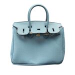 کیف بیرکین 25