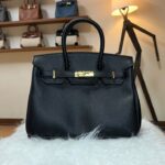 کیف بیرکین 25