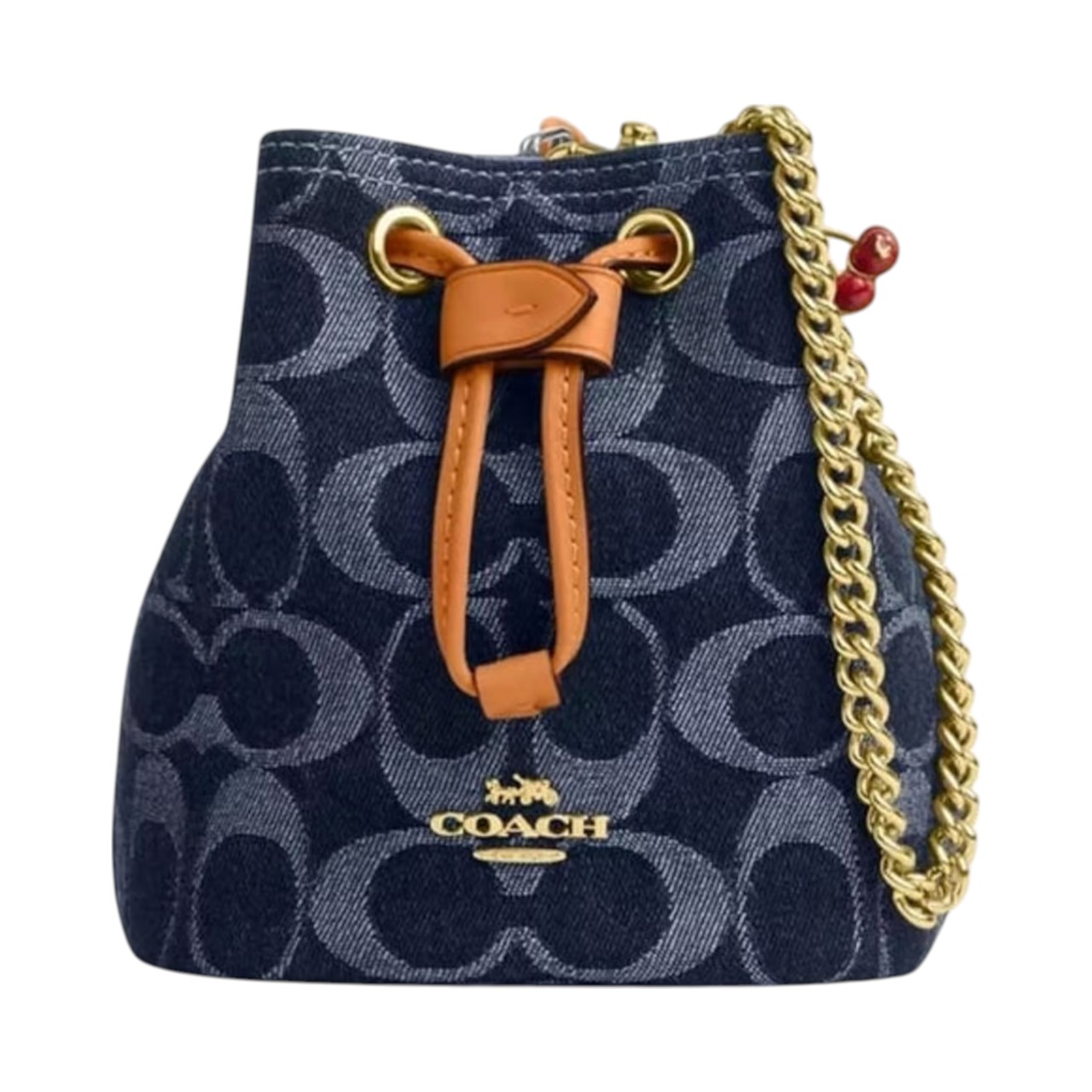 Coach Mini CZ031 purse 01 کیف زنانه کوچ CZ031