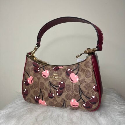 کیف دستی زنانه کوچ مستر